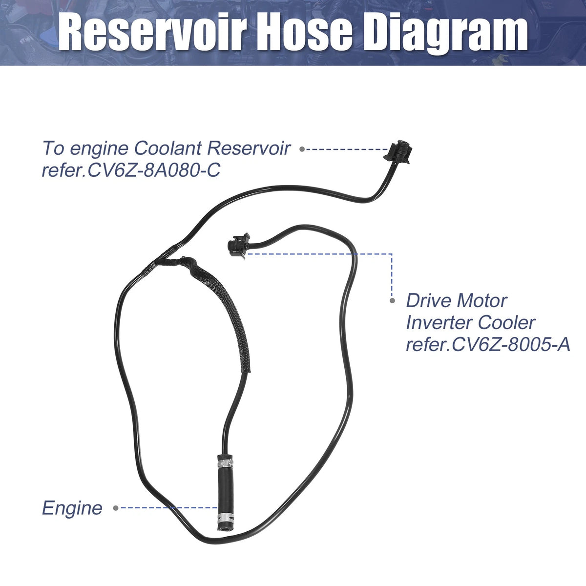 Radiator Coolant Reservoir Hose for Ford CV6Z-8K012-K (2011-2014)