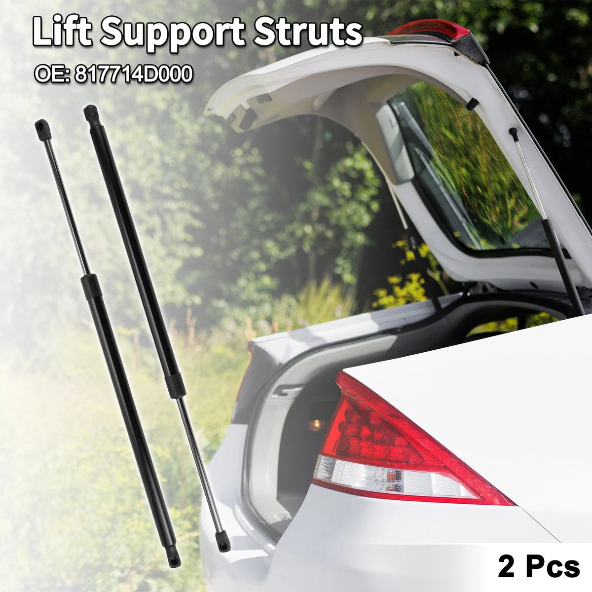 Rear Hatch Lift Supports for Kia Sedona (2006-2014)