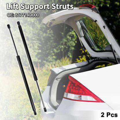 Rear Hatch Lift Supports for Kia Sedona (2006-2014)