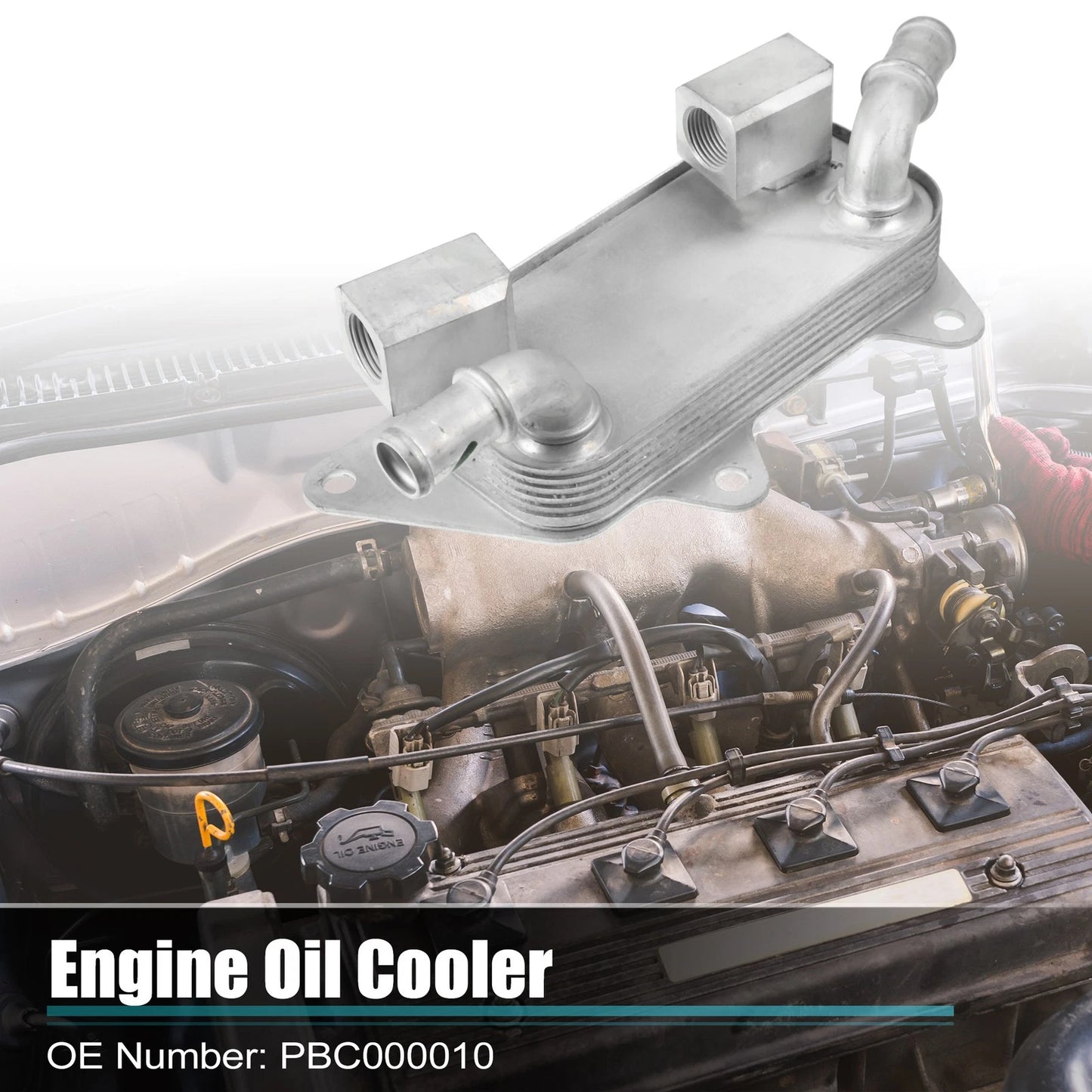 Engine Oil Cooler Housing Assembly for Land Rover Freelander (2001-2006)