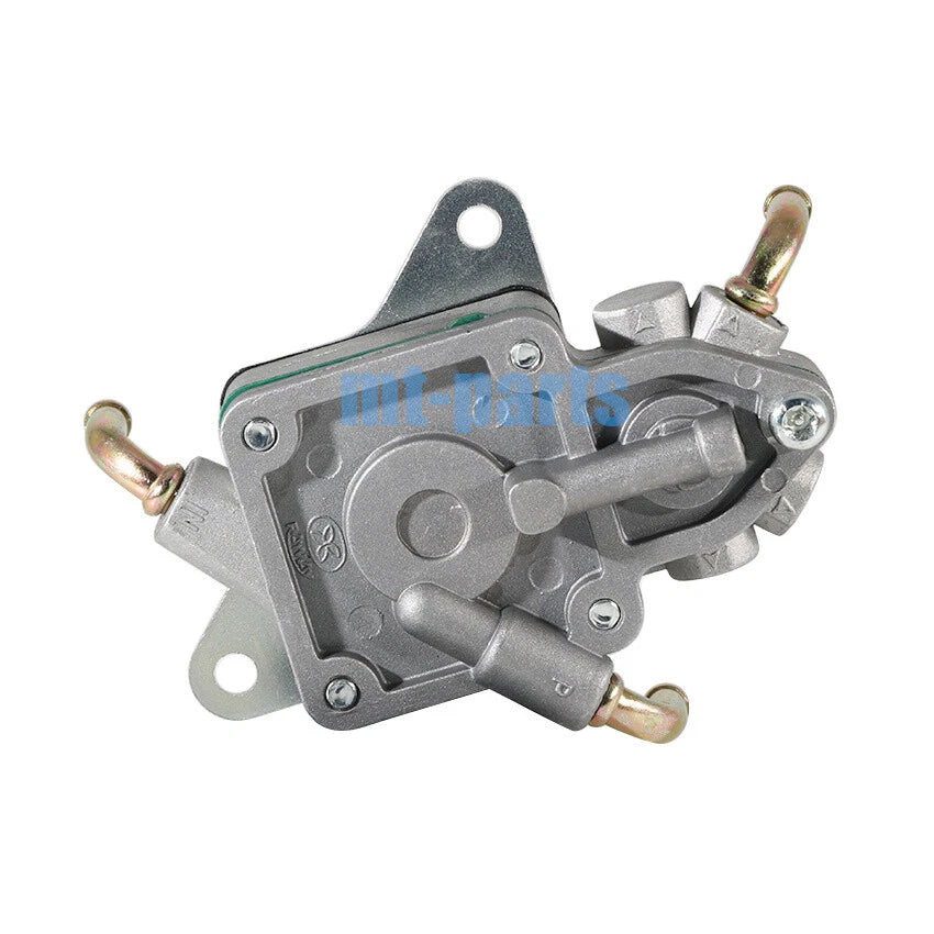 Fuel Pump for DINLI DL700X (2010)